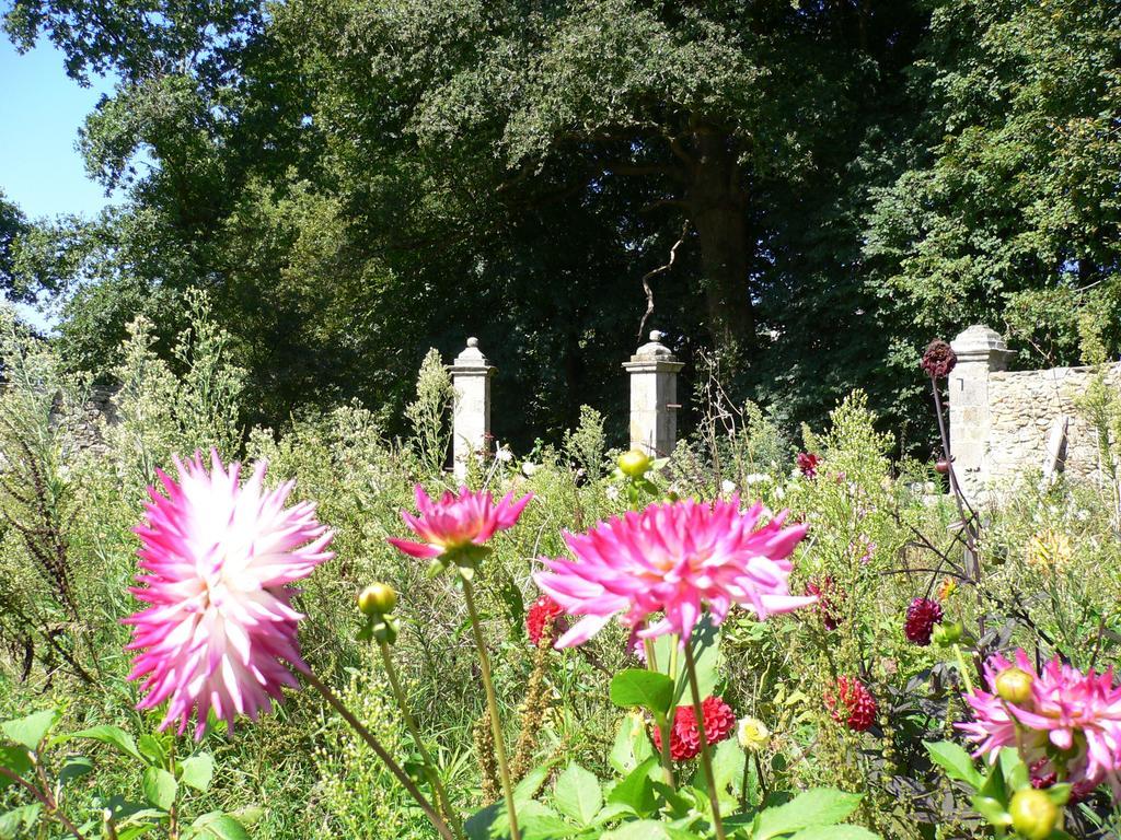 Chateau De La Marronniere Bed & Breakfast Aizenay Dış mekan fotoğraf